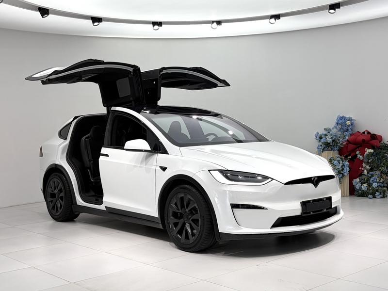 Tesla Model X, 2023 — фото 3 из 11