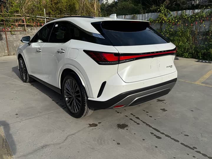 Lexus RX, 2023 — фото 3 из 10