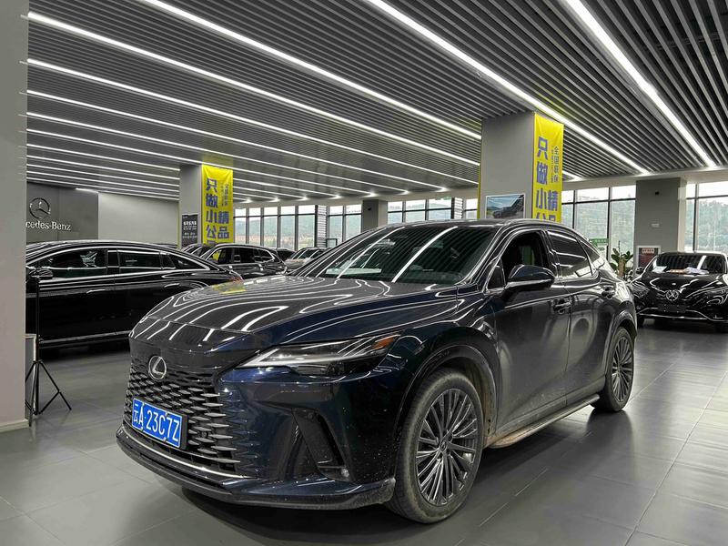 Lexus RX, 2024 — купить в Самаре под ключ