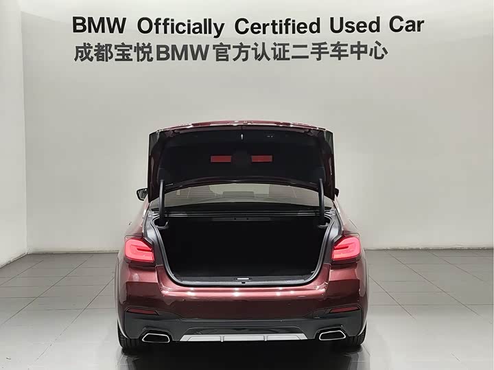 BMW 5 Series Hybrid, 2022 — фото 5 из 9