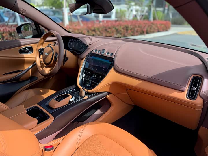Aston Martin DBX, 2023 — фото 6 из 9