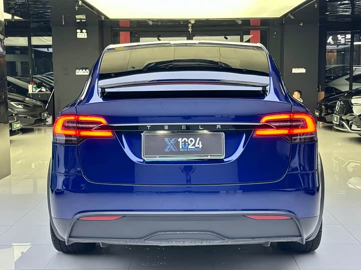 Tesla Model X, 2023 — фото 5 из 9