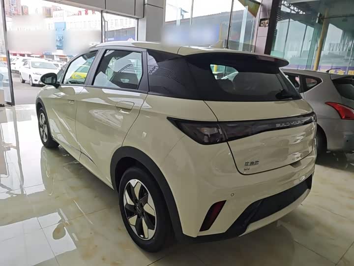 BYD Dolphin, 2026 — фото 5 из 9