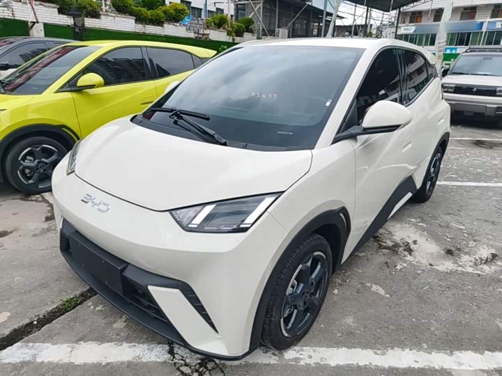BYD Seagull, 2024 — купить в Воронеже под ключ