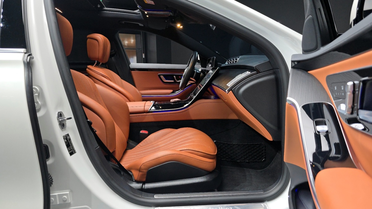 Mercedes-Benz S-Class, 2022 — фото 11 из 12