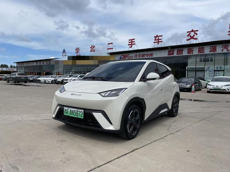 BYD Seagull, 2023 — купить в Самаре под ключ