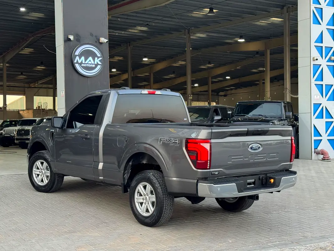 Ford F-150, 2024 — фото 3 из 10