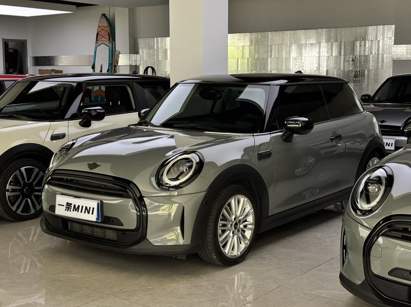 Mini Mini, 2022 — купить в Саратове под ключ
