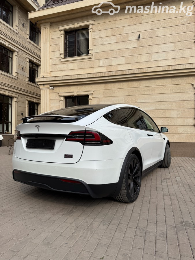 Tesla Model X, 2023 — фото 9 из 12