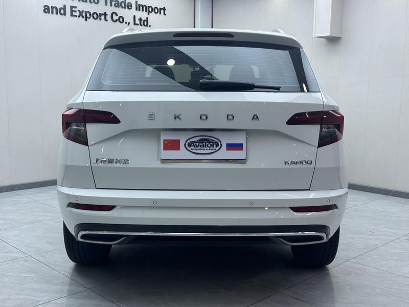 Skoda Karoq, 2024 — фото 5 из 12