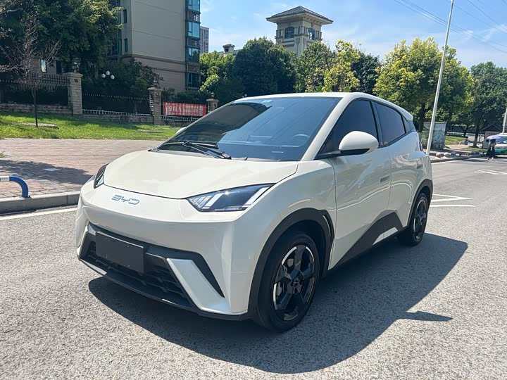 BYD Seagull, 2023 — купить в Рязани под ключ