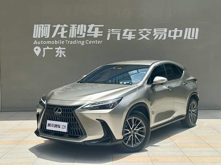 Lexus NX, 2024 — купить в Самаре под ключ