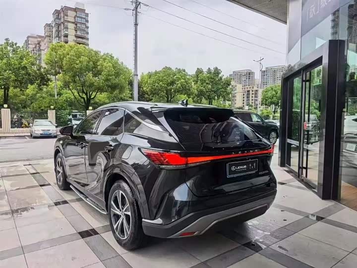 Lexus RX, 2023 — фото 7 из 9