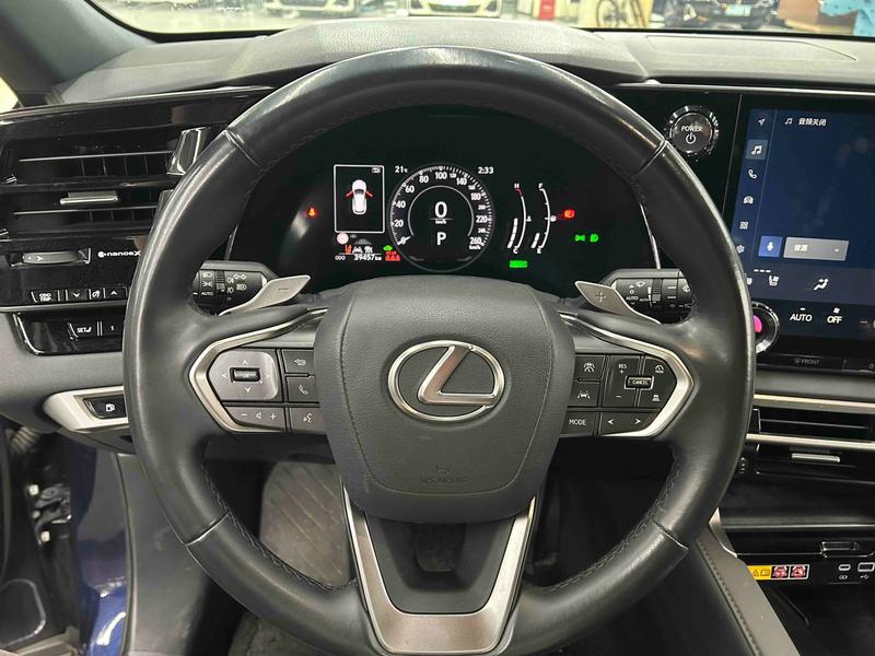 Lexus RX, 2024 — фото 7 из 10