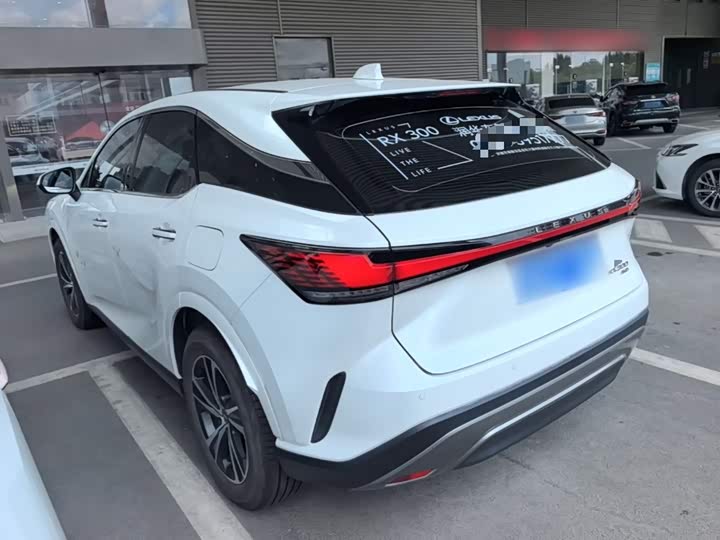 Lexus RX, 2024 — фото 5 из 9