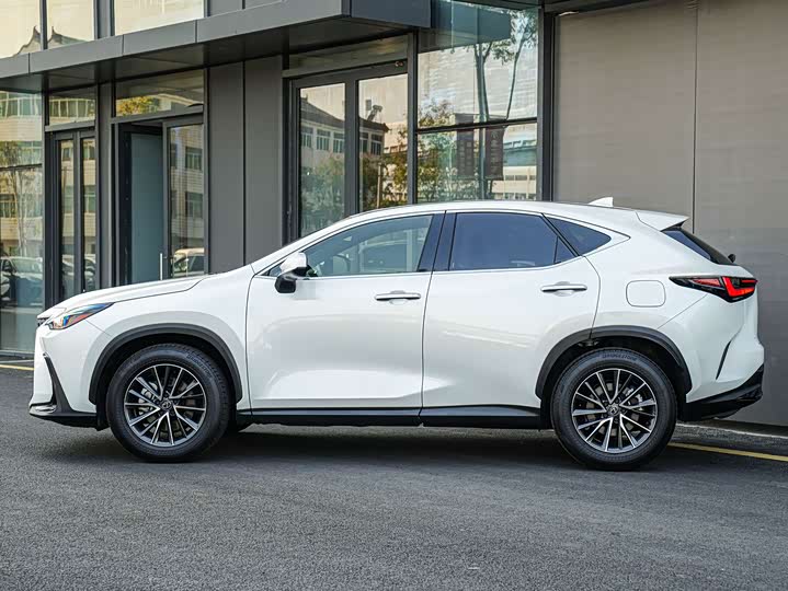 Lexus NX, 2023 — фото 6 из 9
