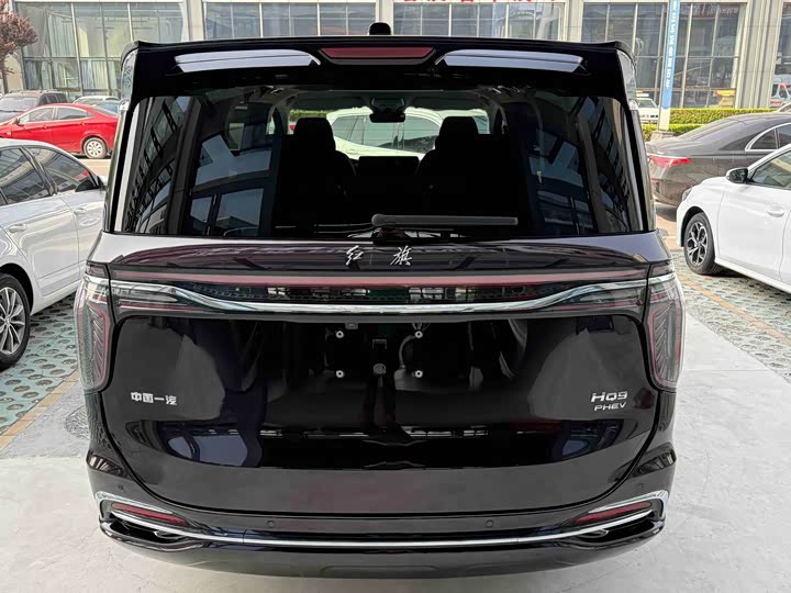 Hongqi HQ9 Hybrid, 2023 — фото 5 из 9