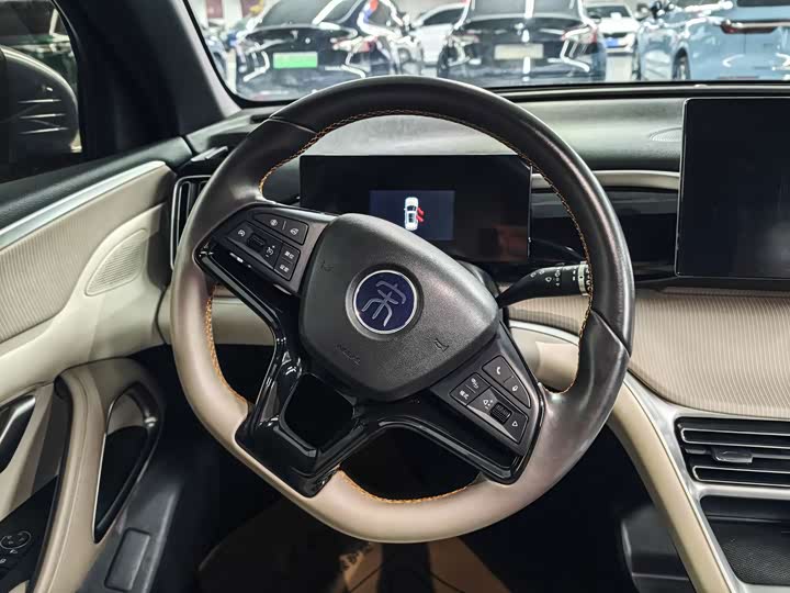 BYD Song Pro Hybrid, 2024 — фото 5 из 9