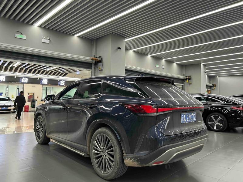 Lexus RX, 2024 — фото 3 из 10