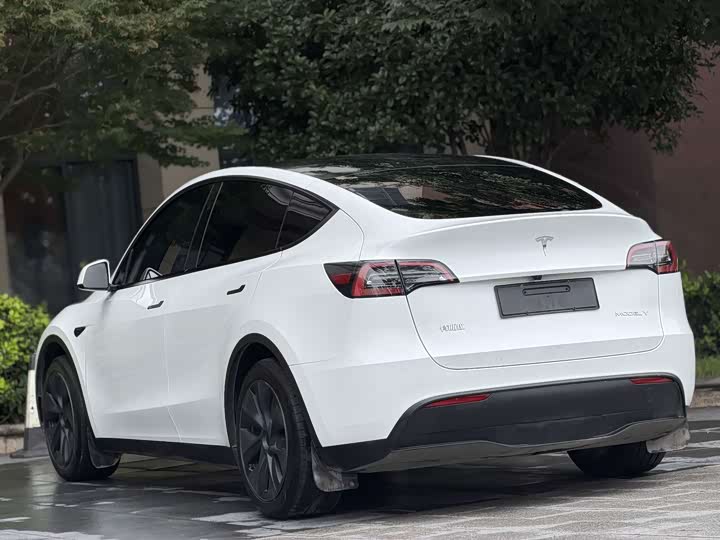 Tesla Model Y, 2023 — фото 8 из 9
