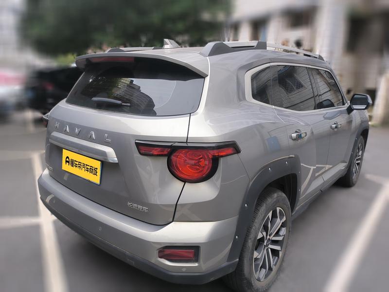 Haval H-Dog, 2023 — фото 4 из 12