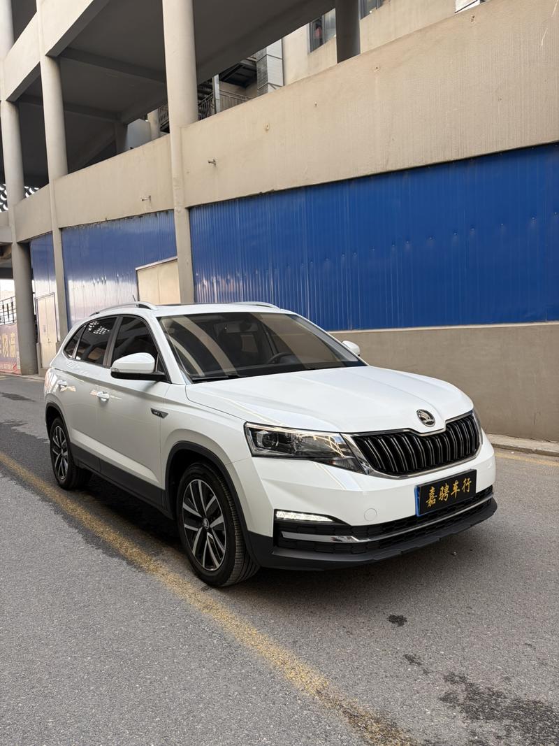 Skoda Kamiq, 2024 — фото 3 из 12