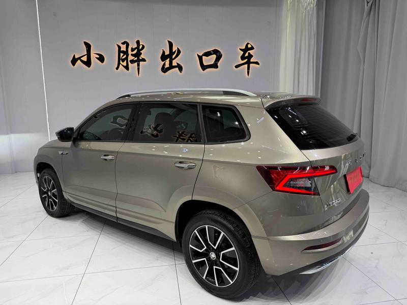 Skoda Karoq, 2023 — фото 4 из 12