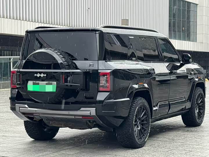 BYD FangChengBao Leopard 8, 2024 — фото 7 из 9