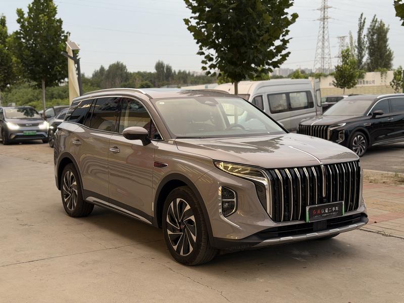 Hongqi HS7 Hybrid, 2024 — фото 3 из 12