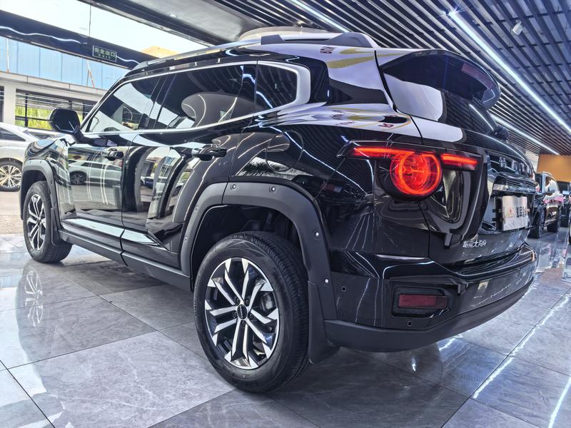 Haval H-Dog, 2023 — фото 4 из 12