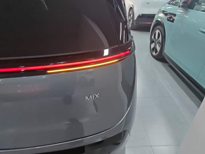 Zeekr Mix, 2025 — фото 8 из 9