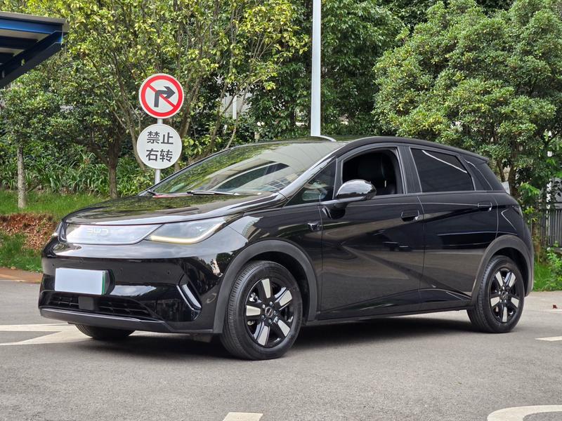 BYD Dolphin, 2025 — купить в Орле под ключ