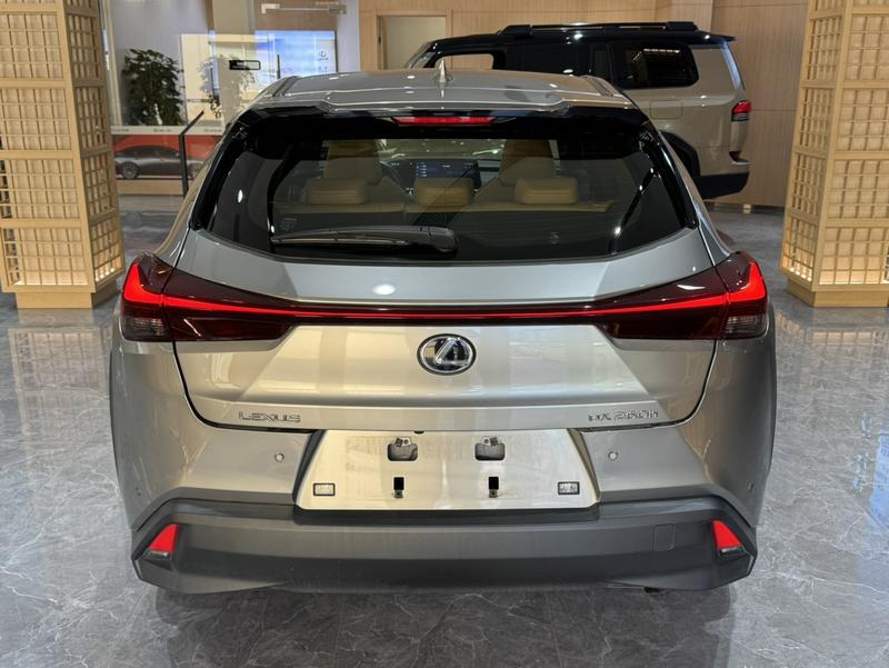 Lexus UX, 2023 — фото 4 из 11