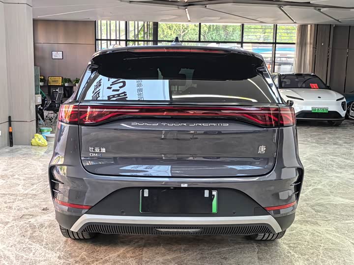 BYD Tang Hybrid/EV, 2023 — фото 6 из 9