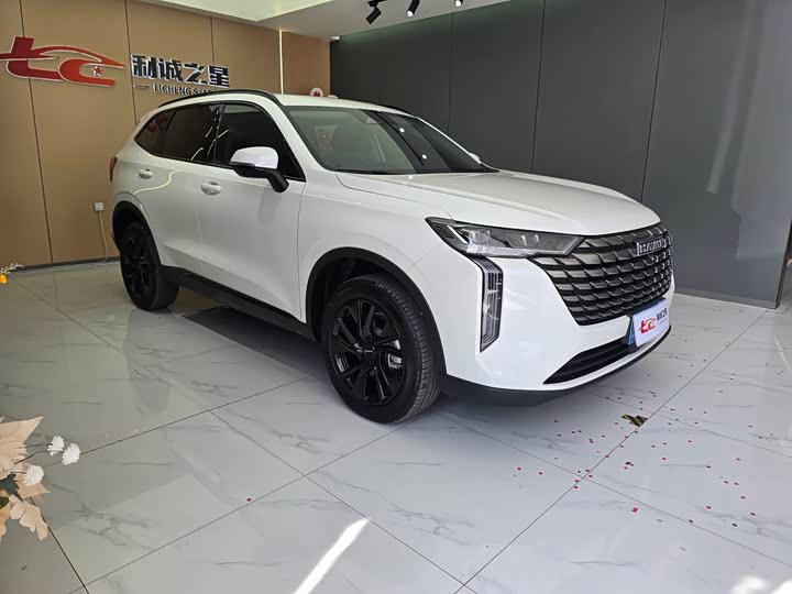 Haval H6, 2024 — фото 3 из 9