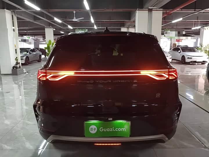 BYD Tang Hybrid/EV, 2024 — фото 6 из 9