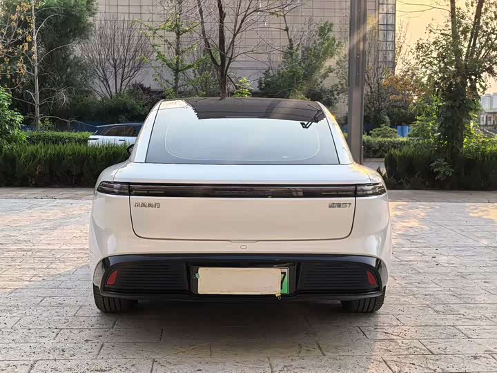 Dongfeng Forthing Xinghai S7, 2024 — фото 8 из 9