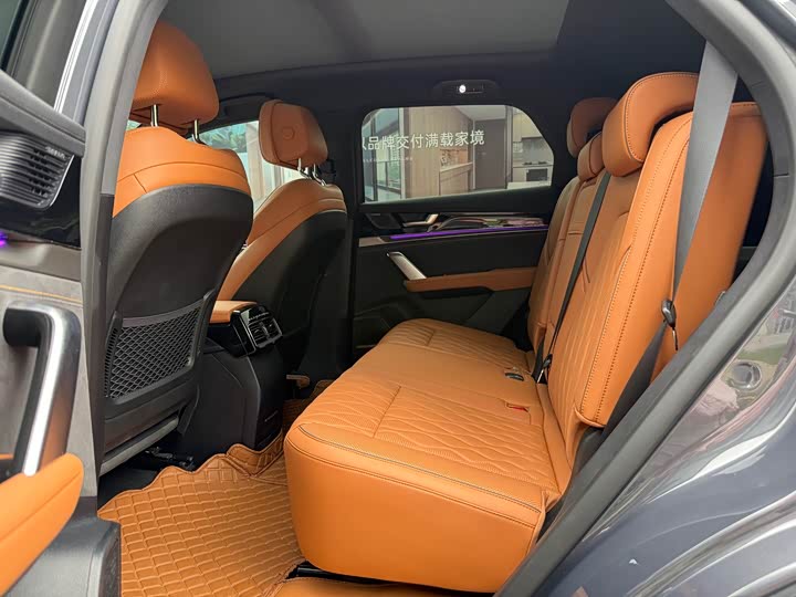 BYD Tang Hybrid/EV, 2023 — фото 9 из 9