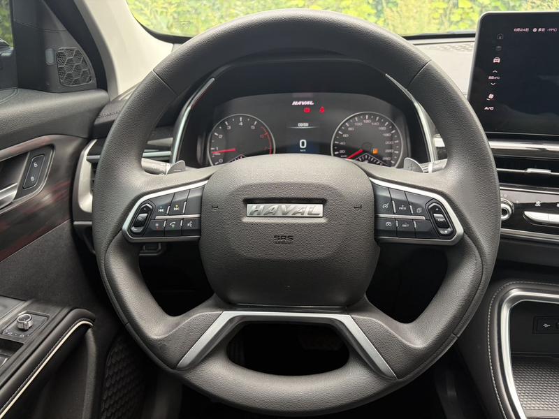 Haval H6, 2021 — фото 10 из 12