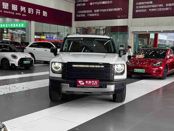 Haval Raptor Hybrid, 2024 — фото 2 из 9