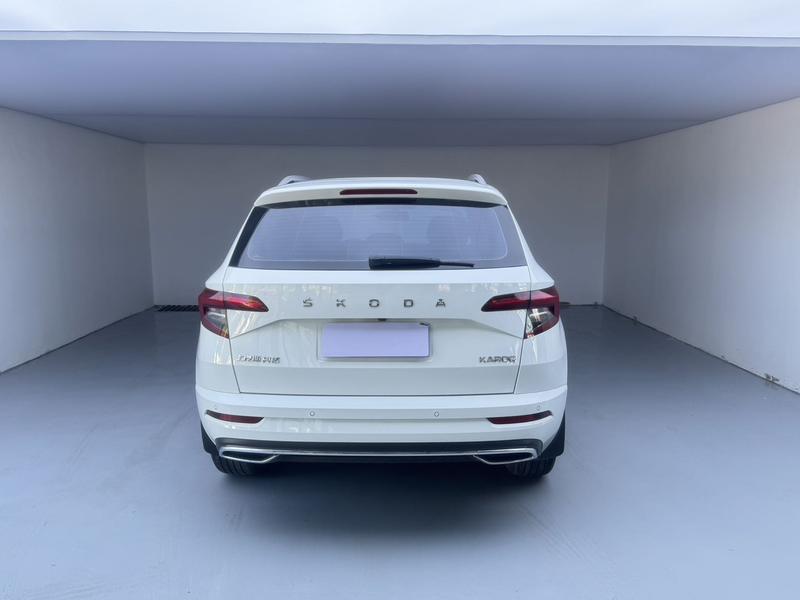 Skoda Karoq, 2024 — фото 5 из 12