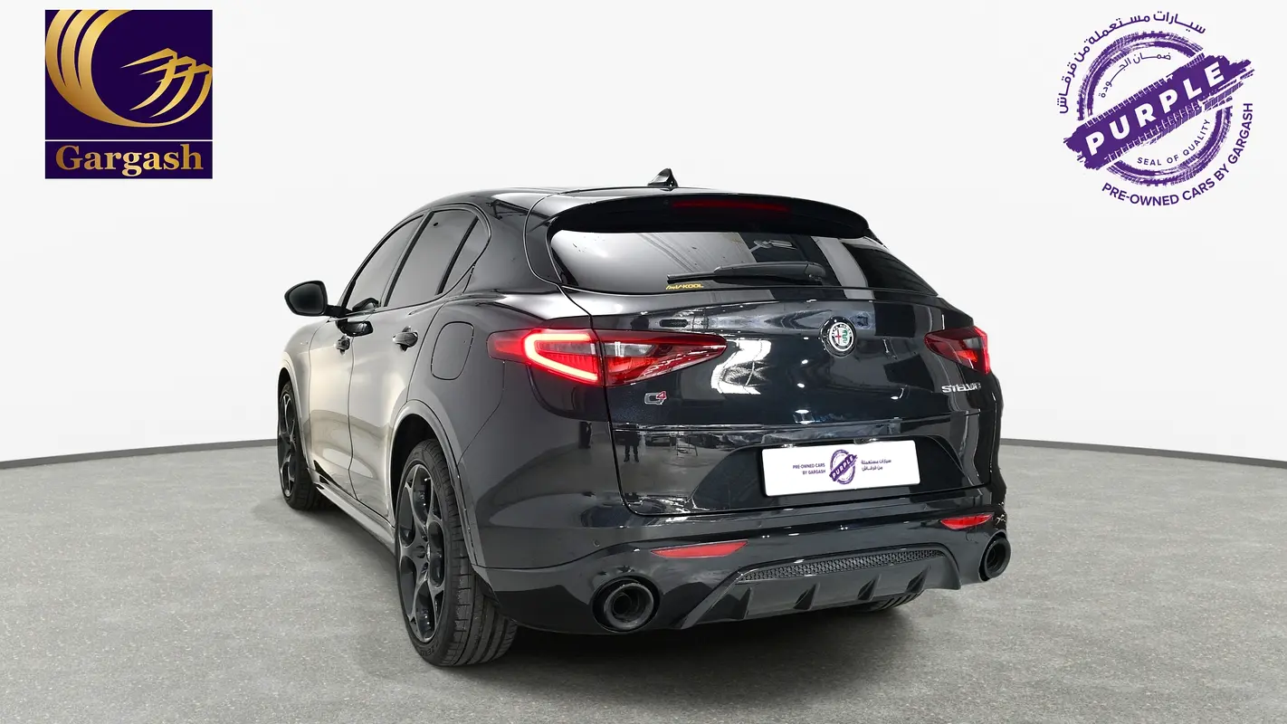 Alfa Romeo Stelvio, 2023 — фото 5 из 10