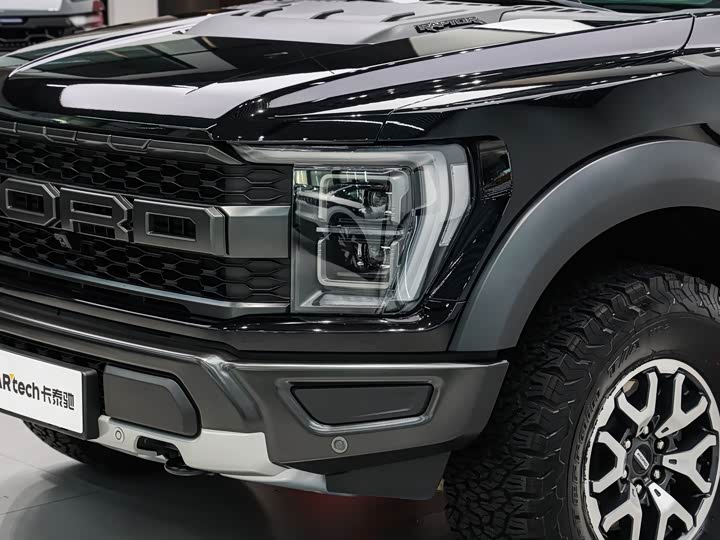 Ford F-150 Raptor, 2023 — фото 8 из 9