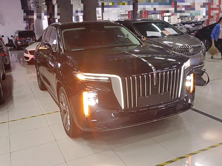 Hongqi E-HS9, 2025 — фото 4 из 9