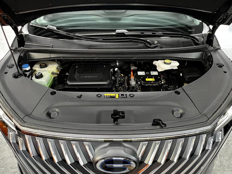 GAC Trumpchi M8, 2024 — фото 9 из 12