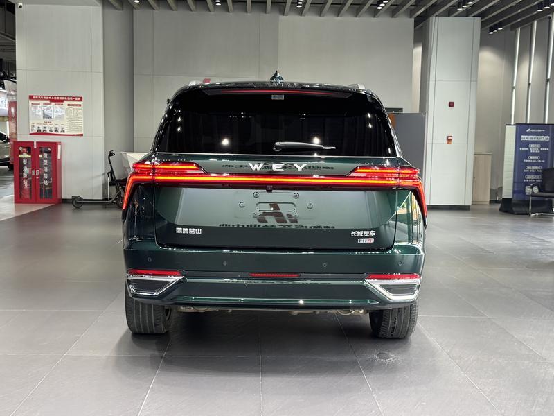 Wey Lanshan, 2024 — фото 5 из 12