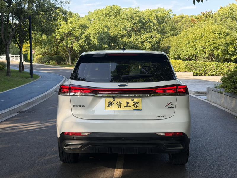 Changan Oshan X7 Plus, 2023 — фото 6 из 12