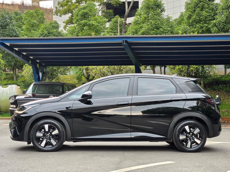BYD Dolphin, 2025 — фото 4 из 12