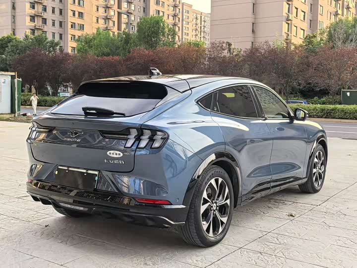 Ford Mustang Mach-E, 2022 — фото 9 из 9