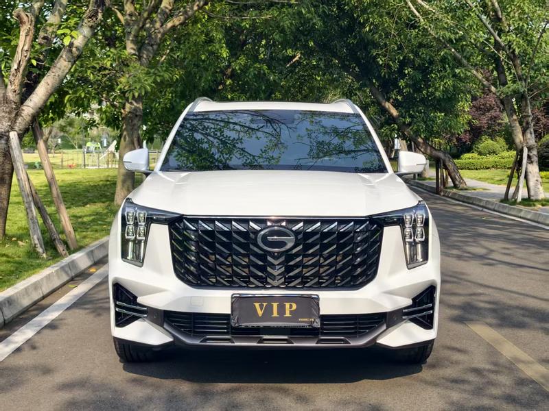 GAC Trumpchi GS8, 2023 — фото 2 из 12